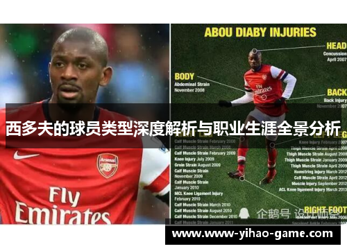 西多夫的球员类型深度解析与职业生涯全景分析